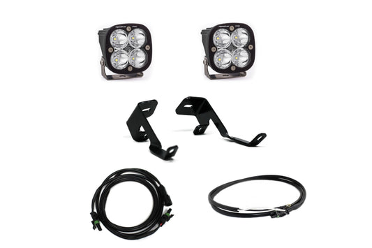 BD Ditch Light LED System: Ford F150 Raptor (17-20) (Squadron Sport)