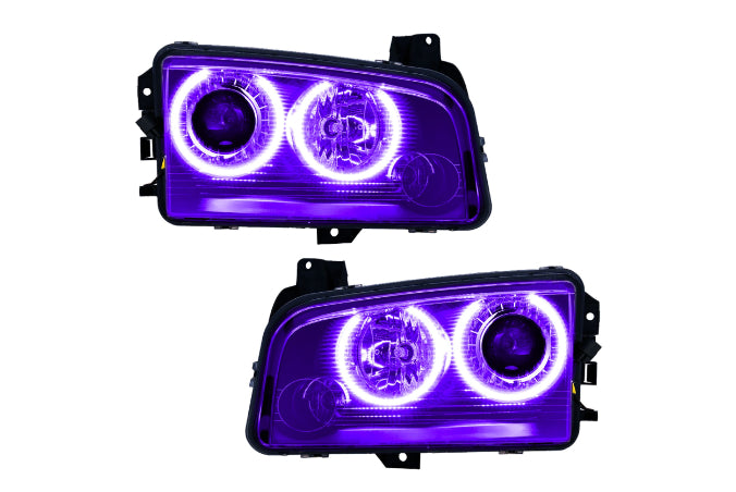 Oracle LED Halo Headlights: 08-10 Dodge Charger w/ OEM HID (UV/Purple SMD Single Color)