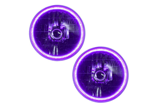Oracle LED Halo Headlights: 97-06 Jeep Wrangler TJ (UV/Purple SMD Single Color)