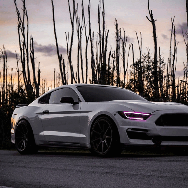 Ford Mustang 15-17 Complete Set