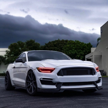 Ford Mustang 15-17 Complete Set