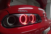 Dual-Red Halos